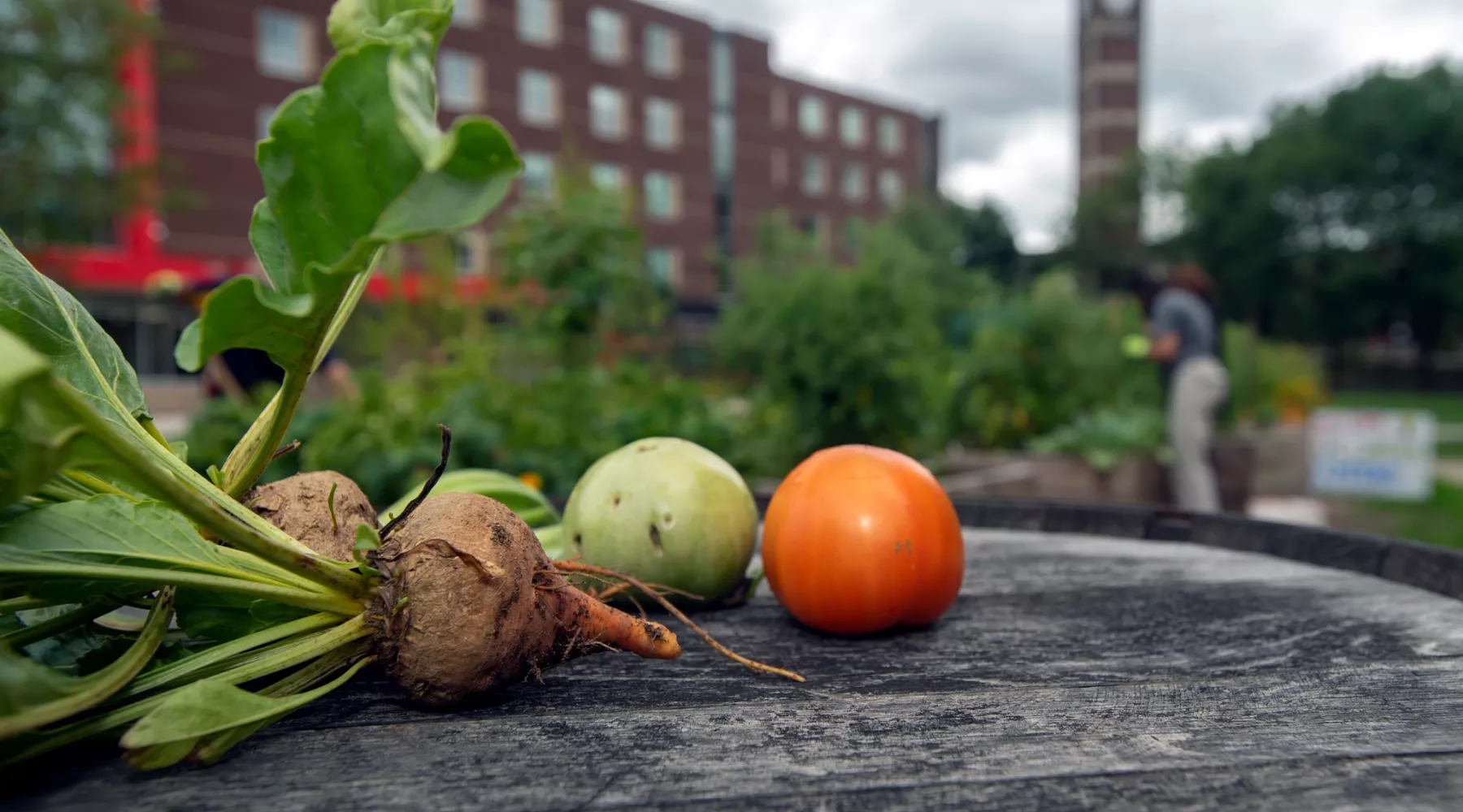 Vegetables from the Community Garden on top of a barrel